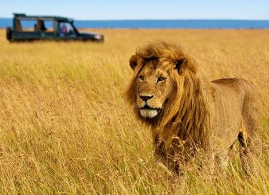 7 Days Kenya Safari