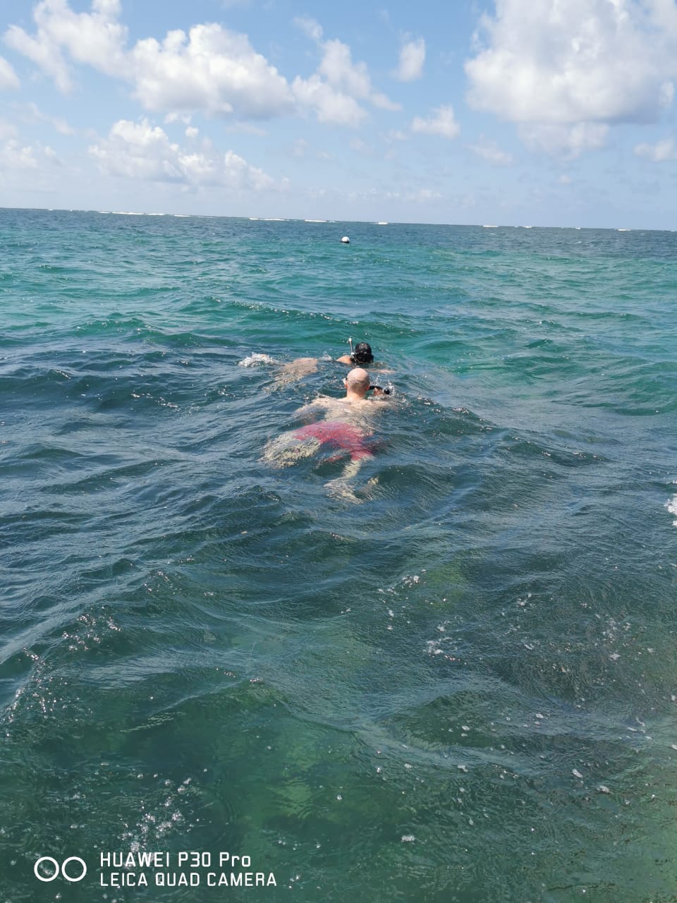 snorkeling watamu